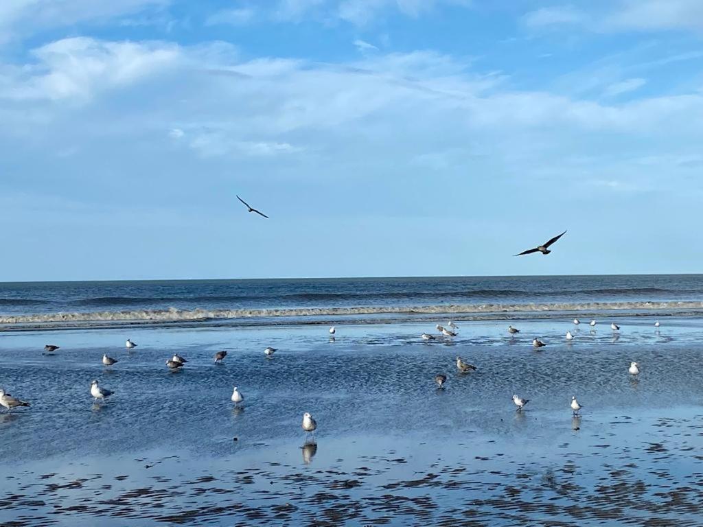 L'Escale à Deauville Esterno foto